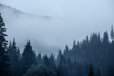 雾山景观