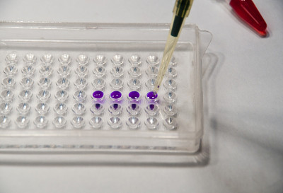 在生物研究实验室里。