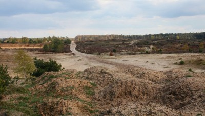 缰绳。霍格Veluwe
