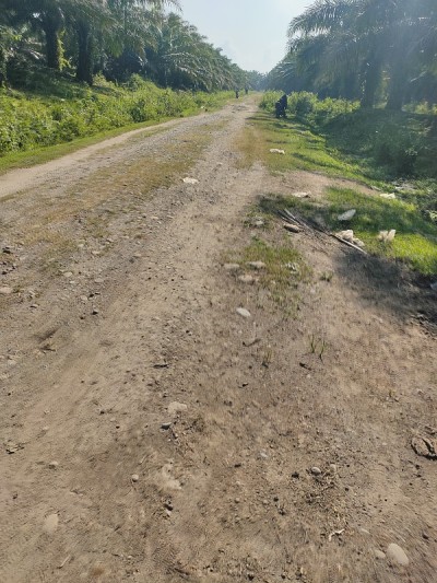 农业路