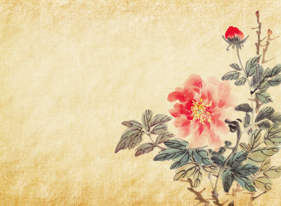 牡丹，中国传统水墨画。