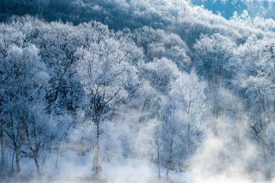 北海道富野的树木被霜覆盖。