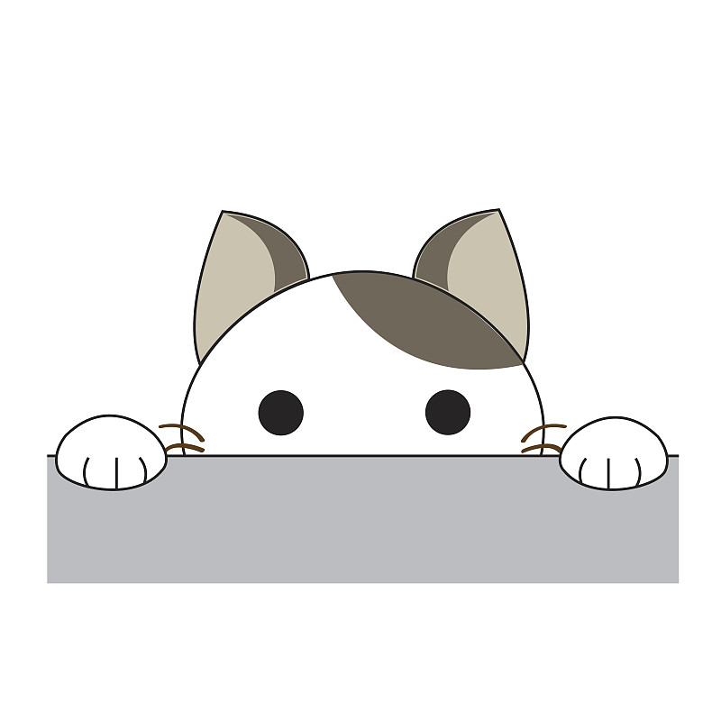 可爱的猫的性格