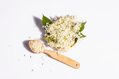 接骨木花茶