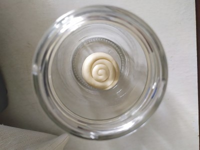 意大利面