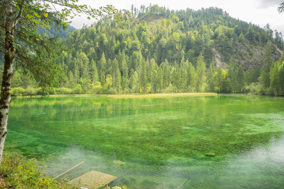 Schiederweiher，美丽的奥地利湖，靠近Hinterstoder