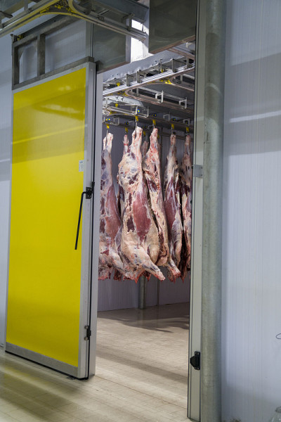冷藏的胴体肉。肉类工业及肉类加工流水线。