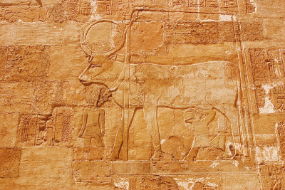 Cow_of_Hathor