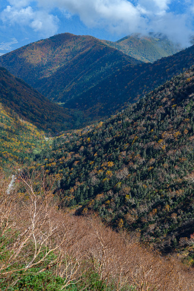 这山在深秋时露出水面