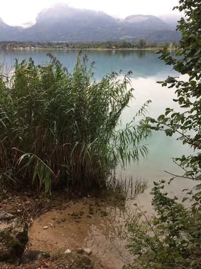 奥地利沃尔夫冈湖
