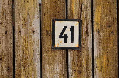 数41