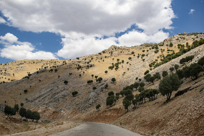 卡塔(Kahta)，土耳其:通往内姆鲁特山(Nemrut Dagi)顶峰的道路。公元前62年，安条奥
