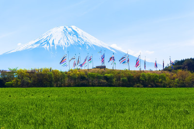 鲤鱼旗和富士山