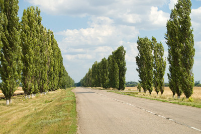 路