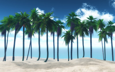 3D棕榈树景观