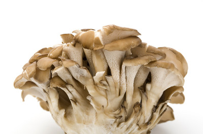 Maitake Mushrooms