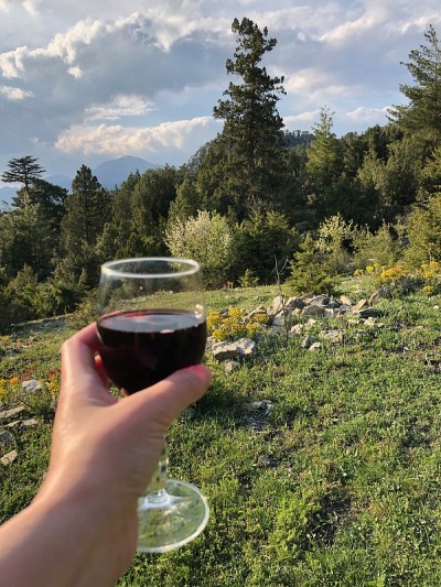 手握酒杯。