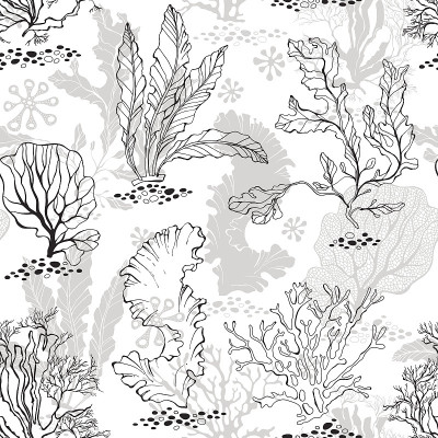 Underwater life. Seamless monochrome background wi