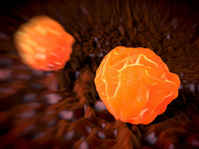 Bone marrow stem cells