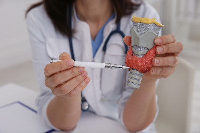 医生在室内展示甲状腺模型，特写