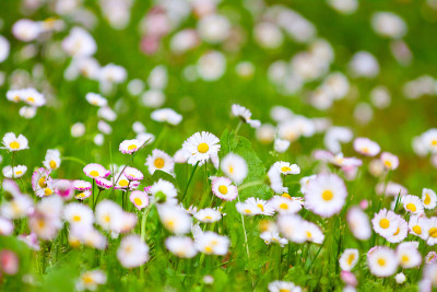 Spring设计背景