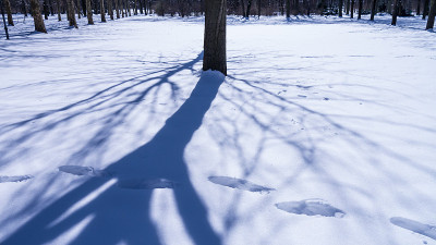跺在雪