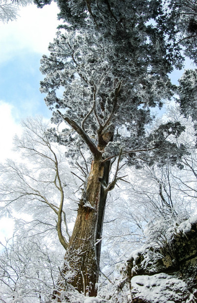 雪山的冰雪和蓝天。