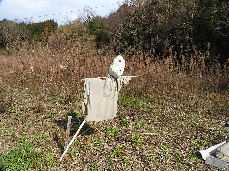 稻草人被留在了粗糙的农田里