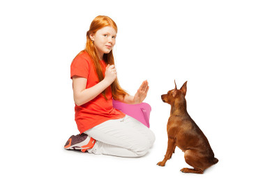 红靓女驯犬