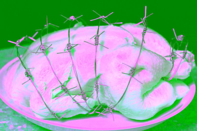 转基因生物