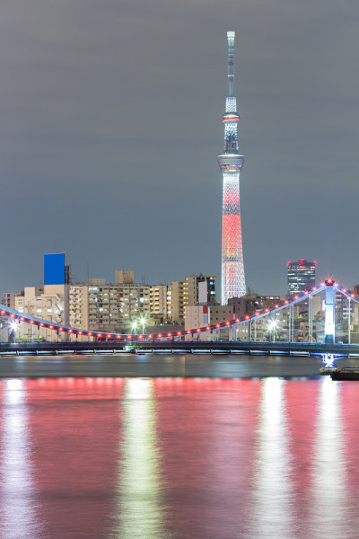 东京的夜空树
