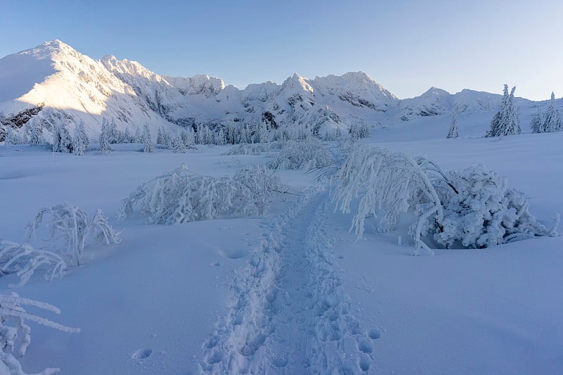 下午阳光下的高塔特拉斯雪峰。