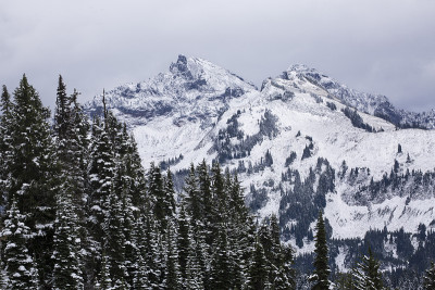 一场小雪覆盖着常青树，背景是雷尼尔山国家公园里积雪的塔图什山脉