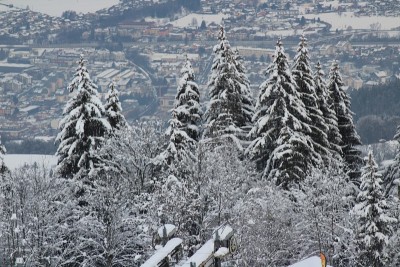 豪萨伏伊的雪景