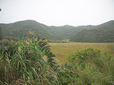 Amami岛