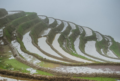 龙脊梯田风光
