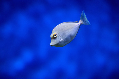 水族馆