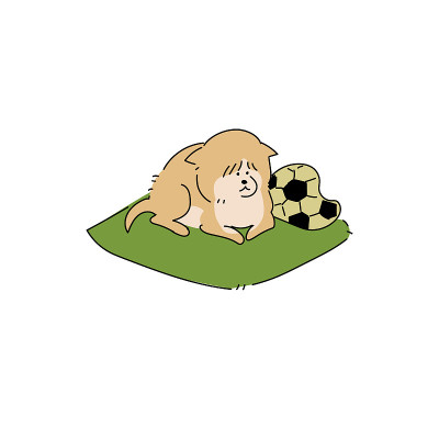 老柴犬和老足球躺在垫子上