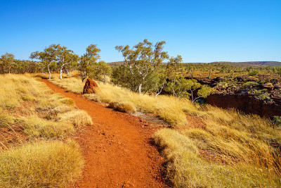 在karijini国家公园的weano峡谷边缘徒步旅行，澳大利亚西部