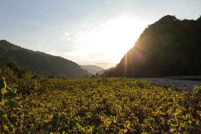 山的风景。峡谷中，山河在悬崖峭壁间流淌，自然秀美。