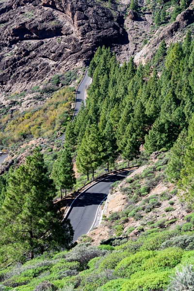 西班牙加那利岛的山区公路，交通