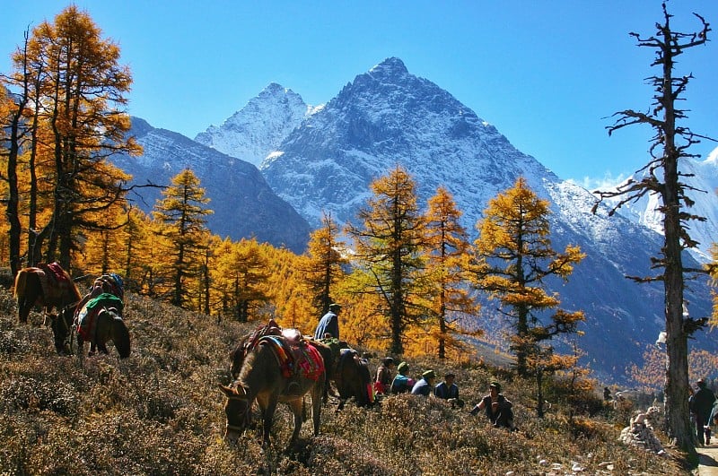 美丽的山景