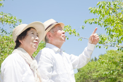 日本的高级
