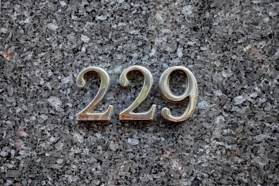 229号