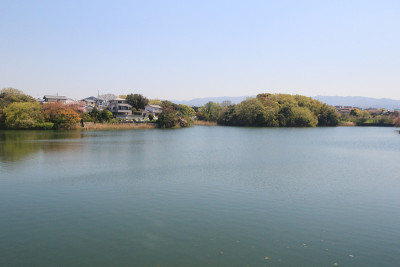大自然中的池塘，日本大阪