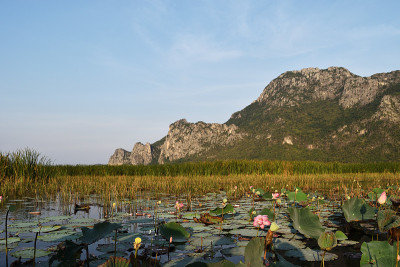石灰岩山上有广阔的湿地