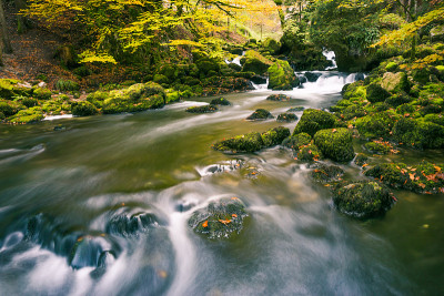 河流流过绿色苔藓岩石在公园森林与夏末树叶