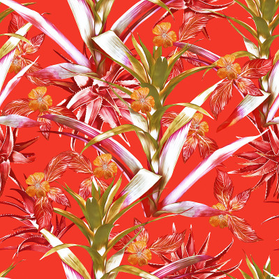 Guzmania flower with aloe vera and tropic plants s
