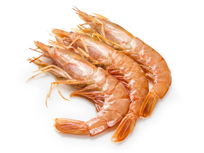 生虾