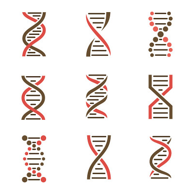 DNA图标设置孤立的白色背景
